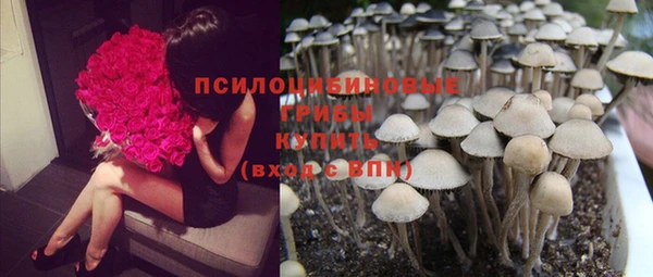 apvp Абинск