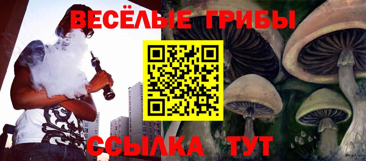 Якутск  купить закладку  Вход с VPN  Псилоцибиновые грибы Cubensis 